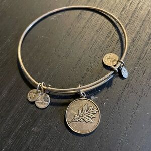 Alex and Ani Silver Positivity Charm Bracelet